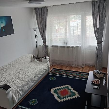 Hellen Apartament トゥルゴヴィシュテ エクステリア 写真