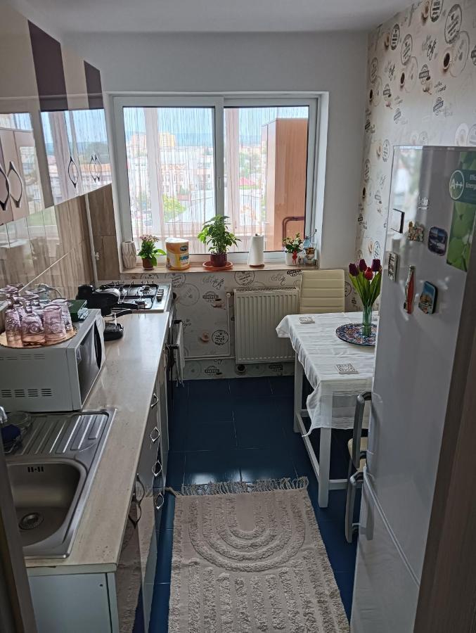 Hellen Apartament トゥルゴヴィシュテ エクステリア 写真