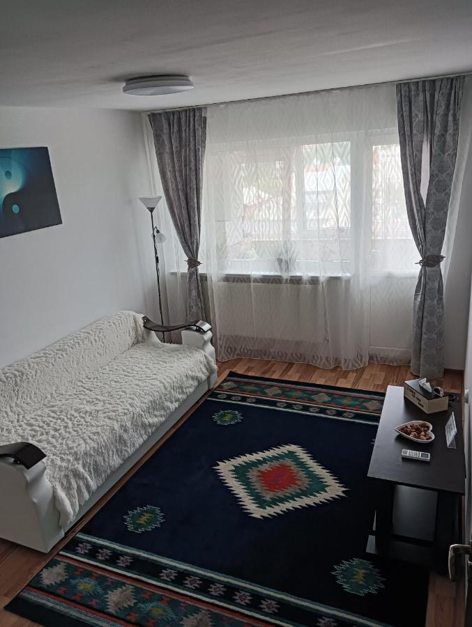 Hellen Apartament トゥルゴヴィシュテ エクステリア 写真